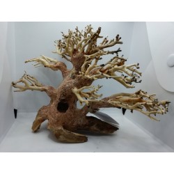 Aqpet Zen Bonsai Pine Legno Naturale Per Arredo In Acquario - Webpet